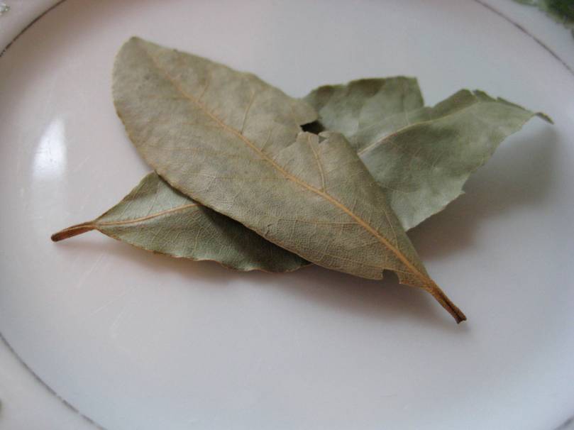 bay leaves