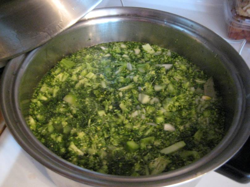 broccoli soup stock