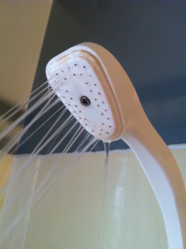 shower head
