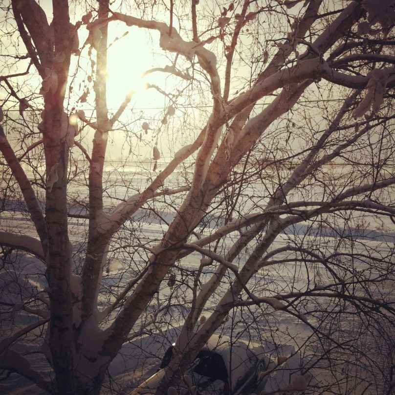 winter sunrise out my window