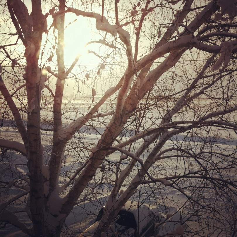 winter sunrise out my window