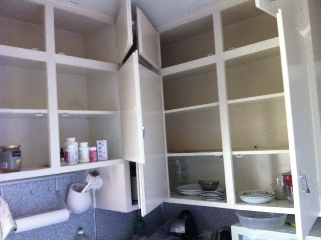 Cupboards with just the bare essentials left in them Cupboards with just the bare essentials left in them