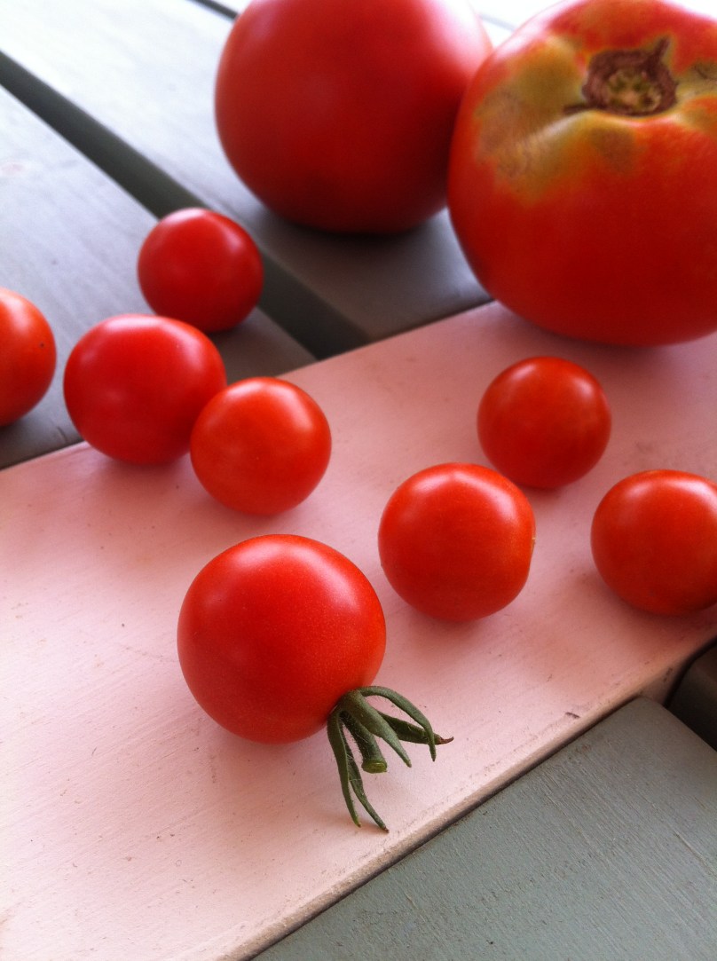 tomatoes on table
